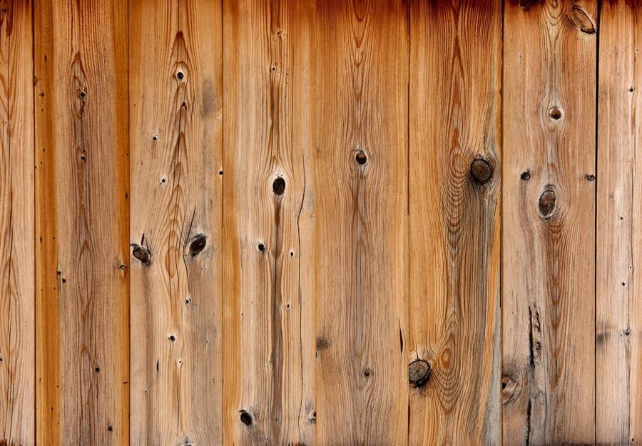 Bedste værktøjer til træ