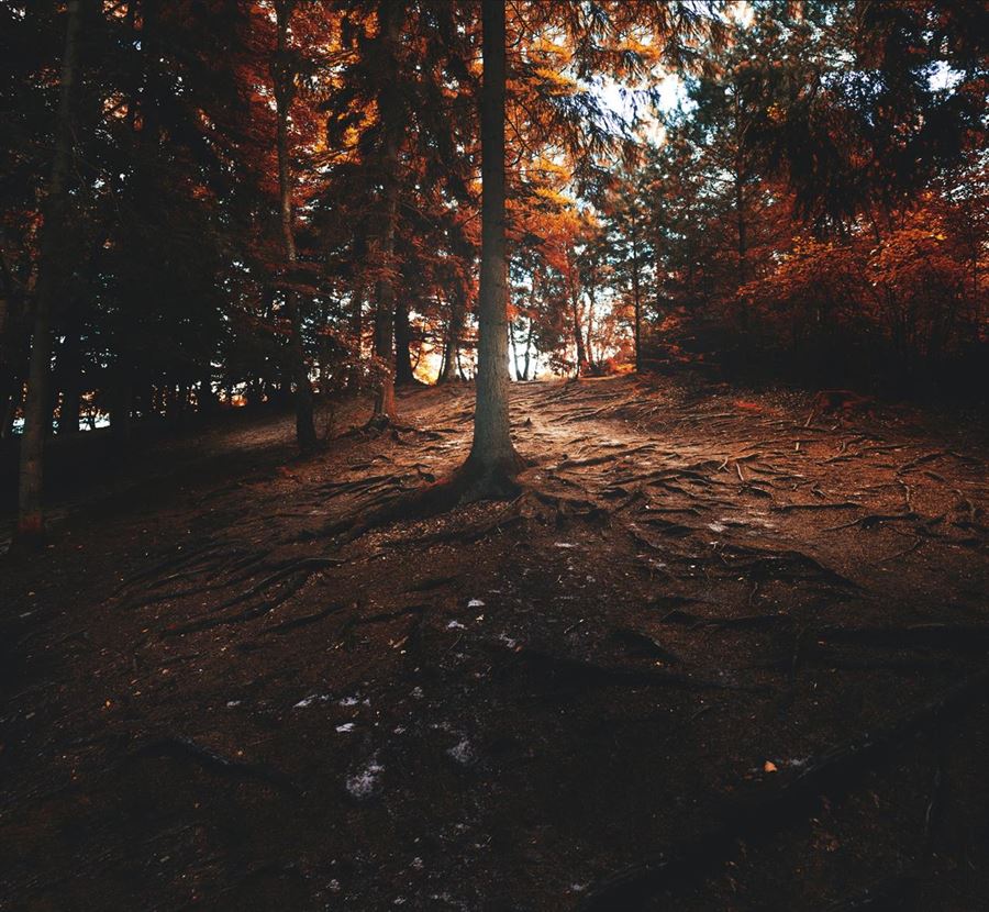 Unikke og spændende oplevelser i Silkeborg