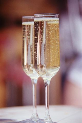 Champagneglas – Hvilke skal man vælge?