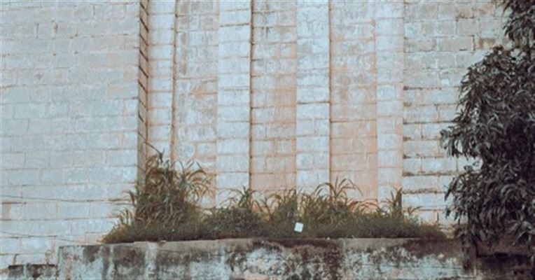 Oplev eksklusiv elegance og kvalitet med Lélafine.dk